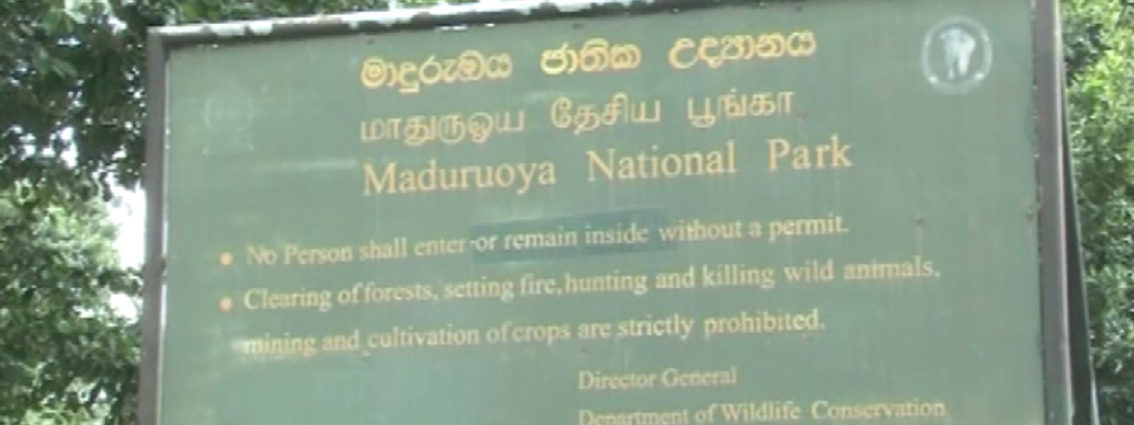 Indigenous Trio Linked to Leopard Killing